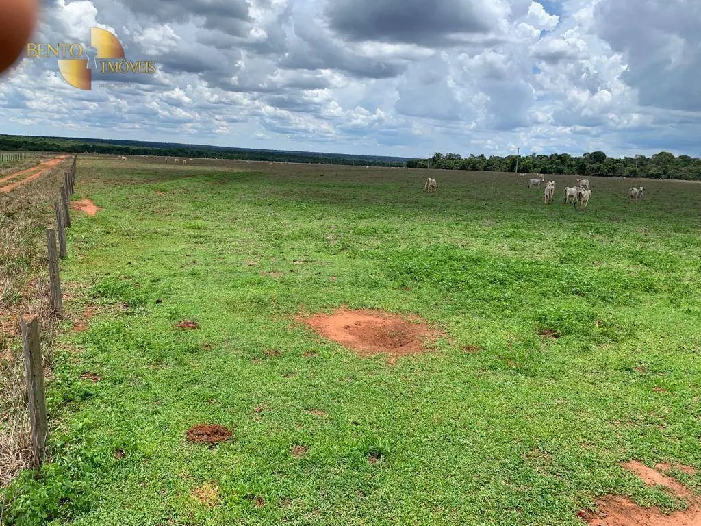 Fazenda à venda de 2.035 ha em Paranatinga, MT, Brasil