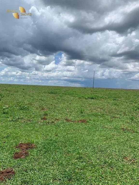 Fazenda à venda de 2.035 ha em Paranatinga, MT, Brasil
