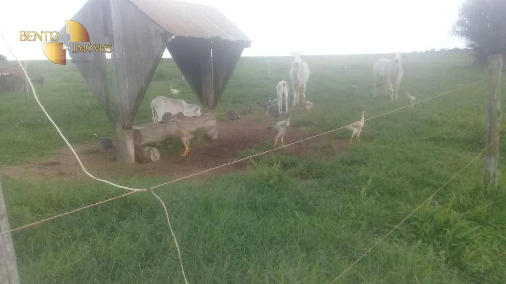 Fazenda à venda de 2.035 ha em Paranatinga, MT, Brasil