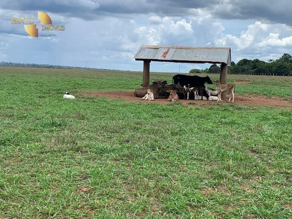 Fazenda à venda de 2.035 ha em Paranatinga, MT, Brasil