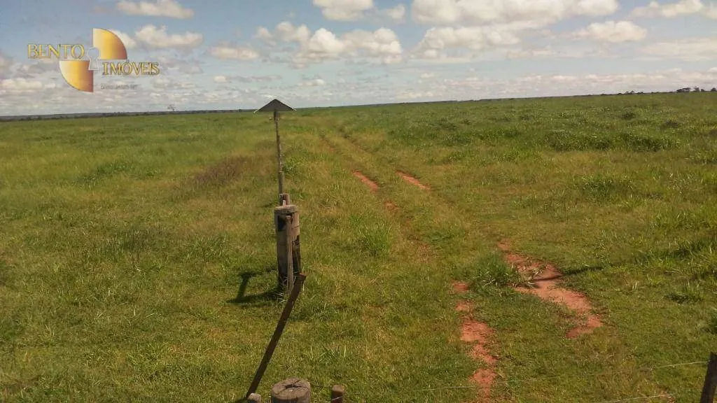 Fazenda à venda de 2.035 ha em Paranatinga, MT, Brasil