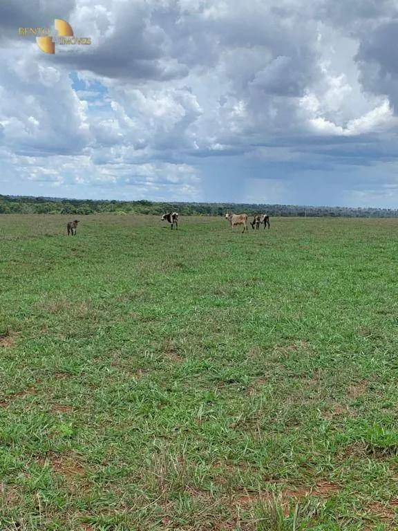 Fazenda à venda de 2.035 ha em Paranatinga, MT, Brasil