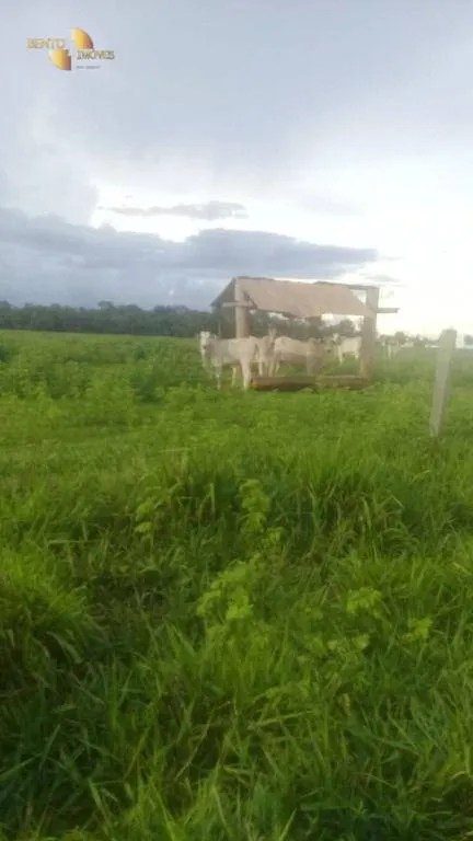 Fazenda à venda de 2.035 ha em Paranatinga, MT, Brasil