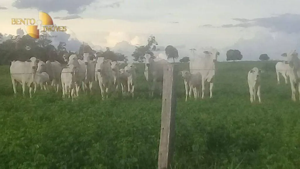 Fazenda à venda de 2.035 ha em Paranatinga, MT, Brasil