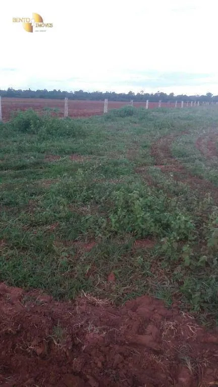 Fazenda à venda de 2.035 ha em Paranatinga, MT, Brasil