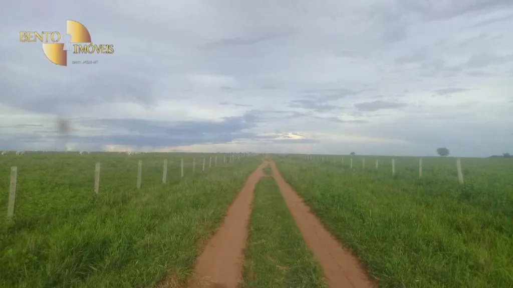 Fazenda à venda de 2.035 ha em Paranatinga, MT, Brasil