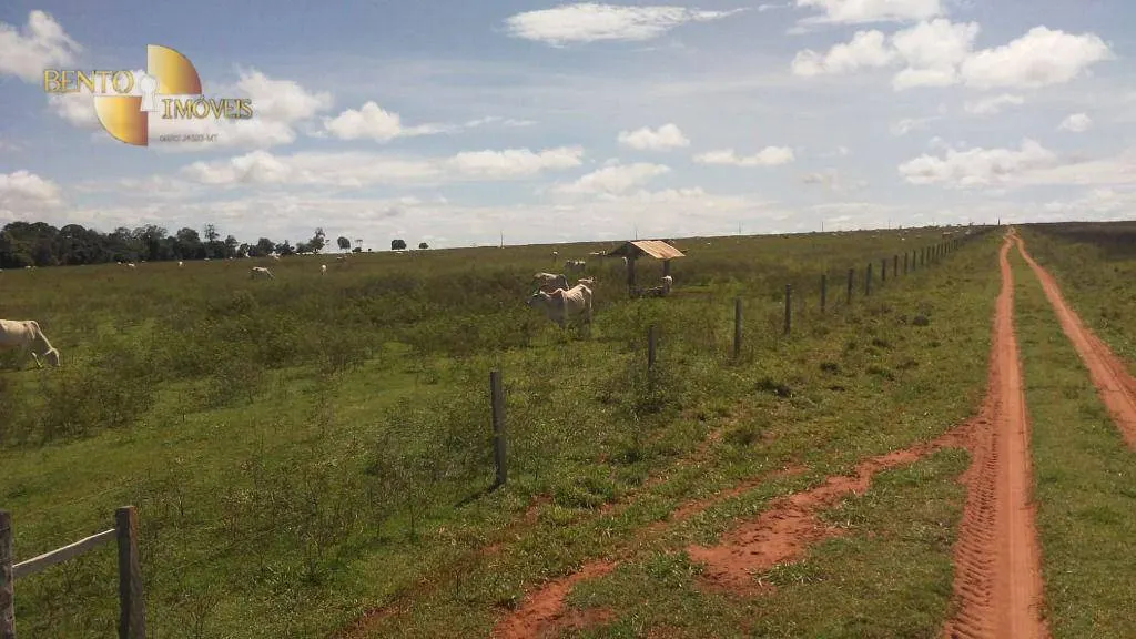 Fazenda à venda de 2.035 ha em Paranatinga, MT, Brasil