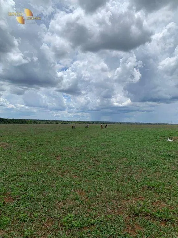 Fazenda à venda de 2.035 ha em Paranatinga, MT, Brasil