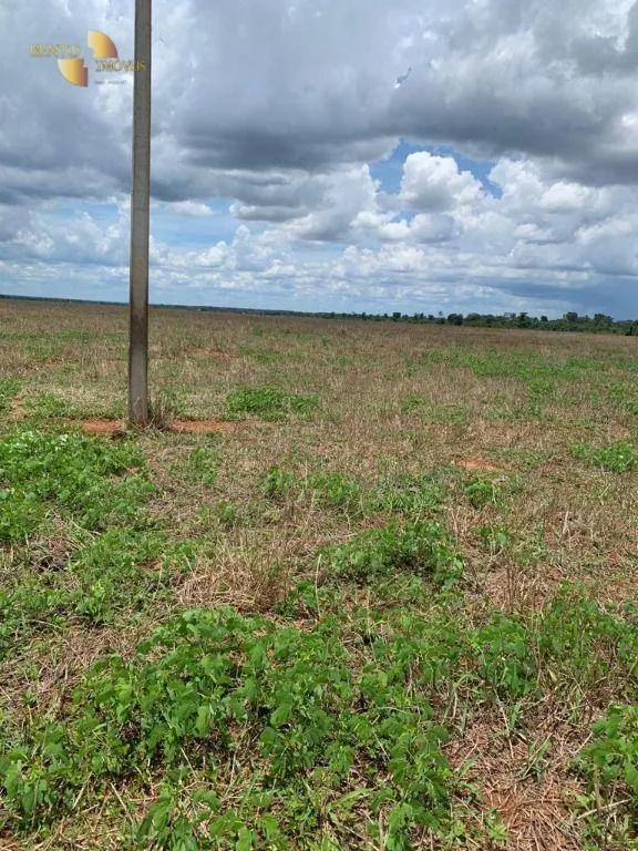 Fazenda à venda de 2.035 ha em Paranatinga, MT, Brasil