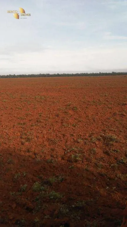 Fazenda à venda de 2.035 ha em Paranatinga, MT, Brasil