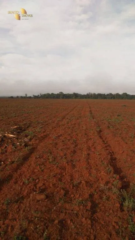 Fazenda à venda de 2.035 ha em Paranatinga, MT, Brasil