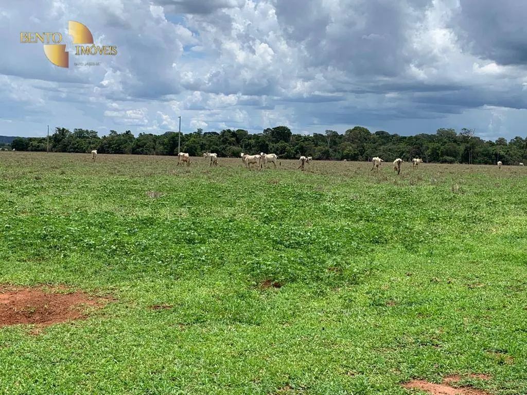 Fazenda à venda de 2.035 ha em Paranatinga, MT, Brasil