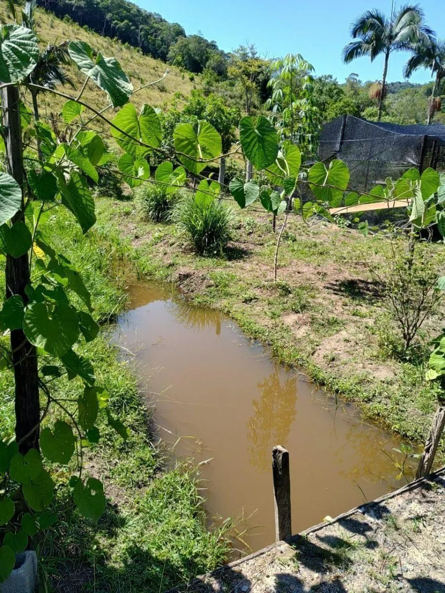 Sítio à venda de 4 ha em Miracatu, SP, Brasil