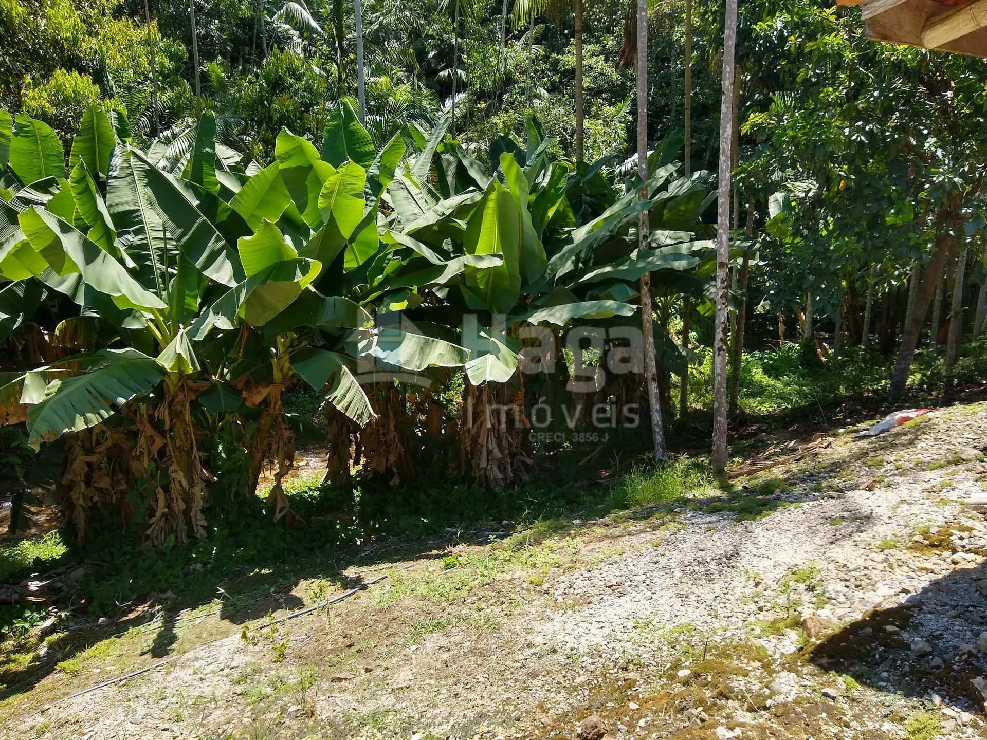Fazenda à venda de 6 ha em Botuverá, SC, Brasil