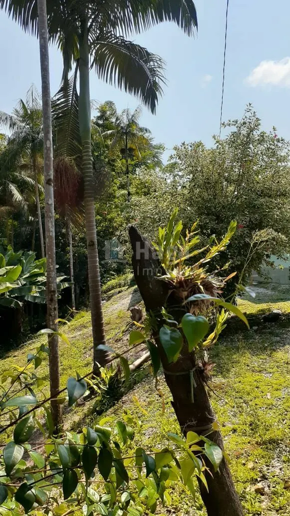 Fazenda à venda de 6 ha em Botuverá, SC, Brasil