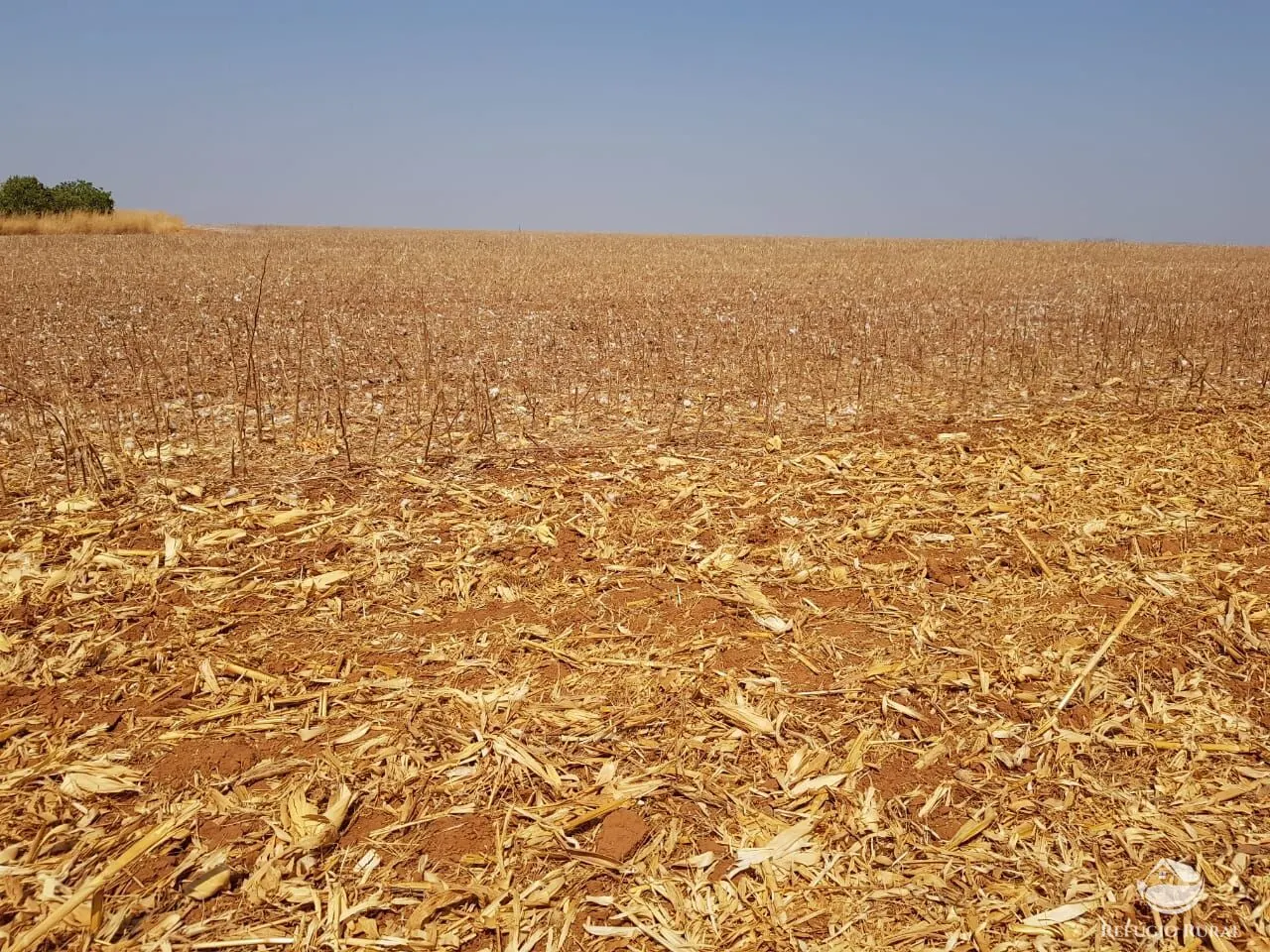 Fazenda à venda de 17.531 ha em Lagoa do Tocantins, TO, Brasil