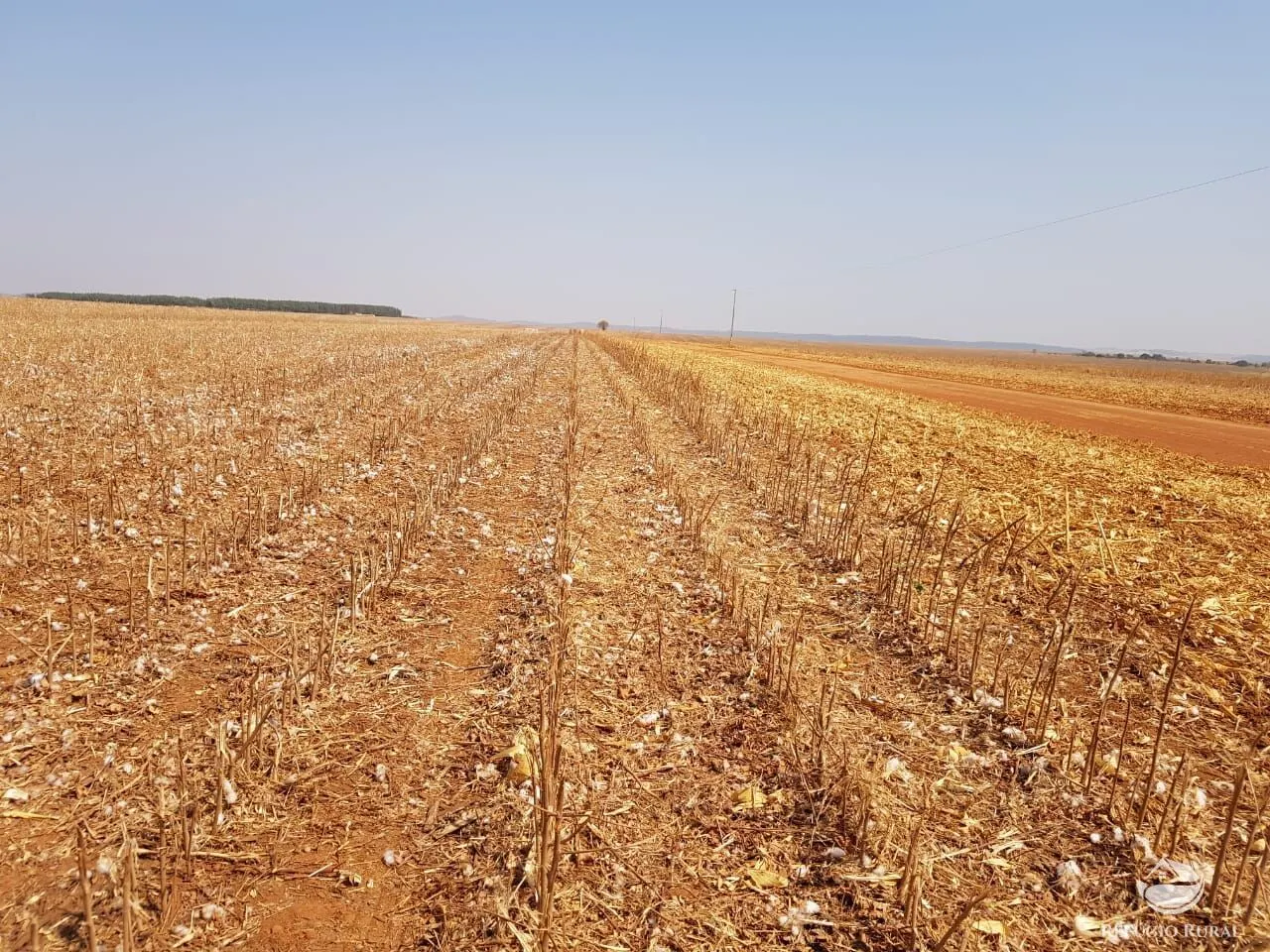 Fazenda à venda de 17.531 ha em Lagoa do Tocantins, TO, Brasil