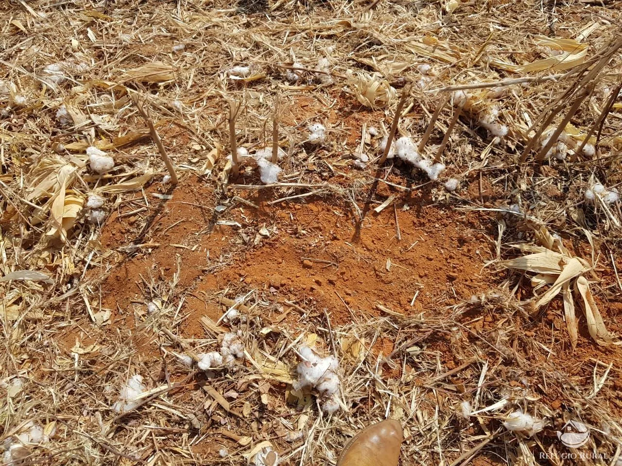 Fazenda à venda de 17.531 ha em Lagoa do Tocantins, TO, Brasil