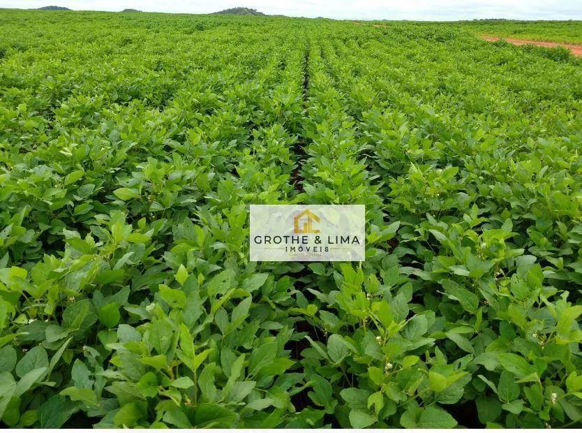 Fazenda à venda de 9.196 ha em Colinas do Tocantins, TO, Brasil