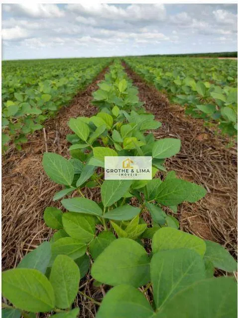 Fazenda à venda de 9.196 ha em Colinas do Tocantins, TO, Brasil