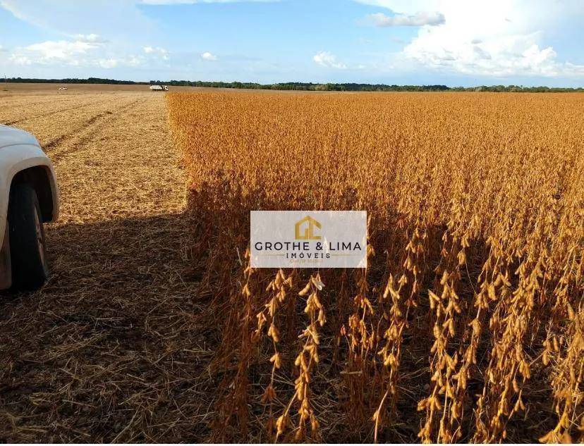 Fazenda à venda de 9.196 ha em Colinas do Tocantins, TO, Brasil