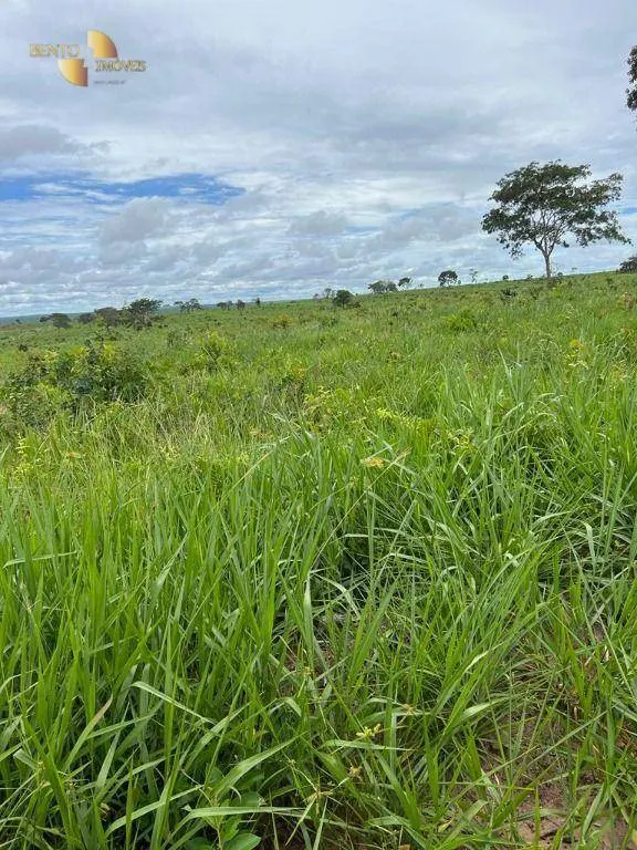 Fazenda à venda de 3.150 ha em Paranatinga, MT, Brasil