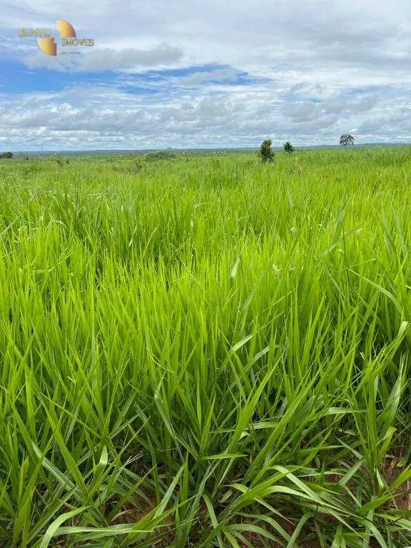 Fazenda à venda de 3.150 ha em Paranatinga, MT, Brasil