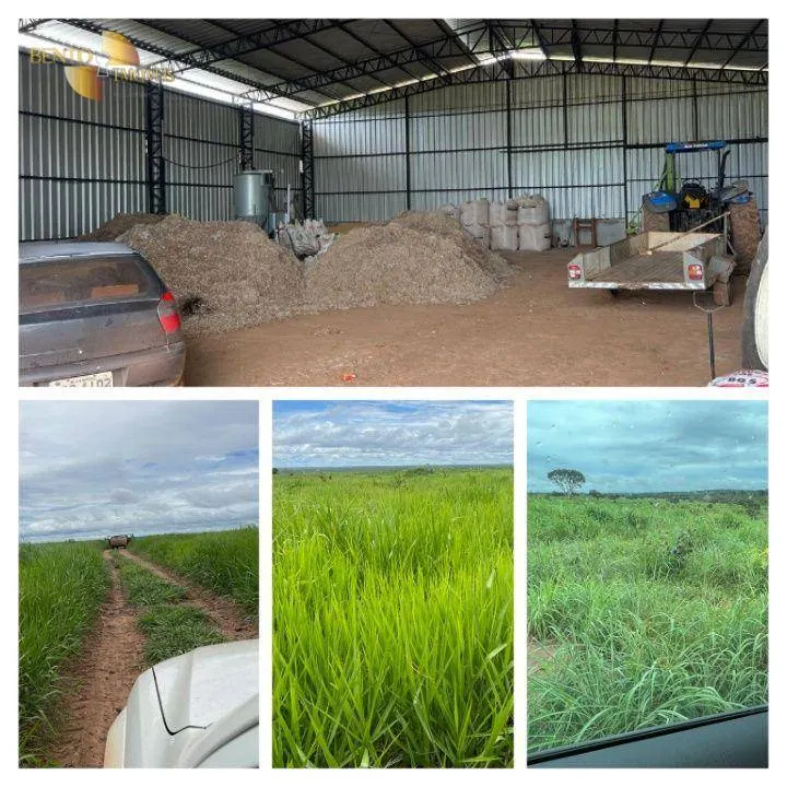 Fazenda à venda de 3.150 ha em Paranatinga, MT, Brasil