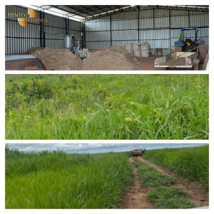 Fazenda à venda de 3.150 ha em Paranatinga, MT, Brasil