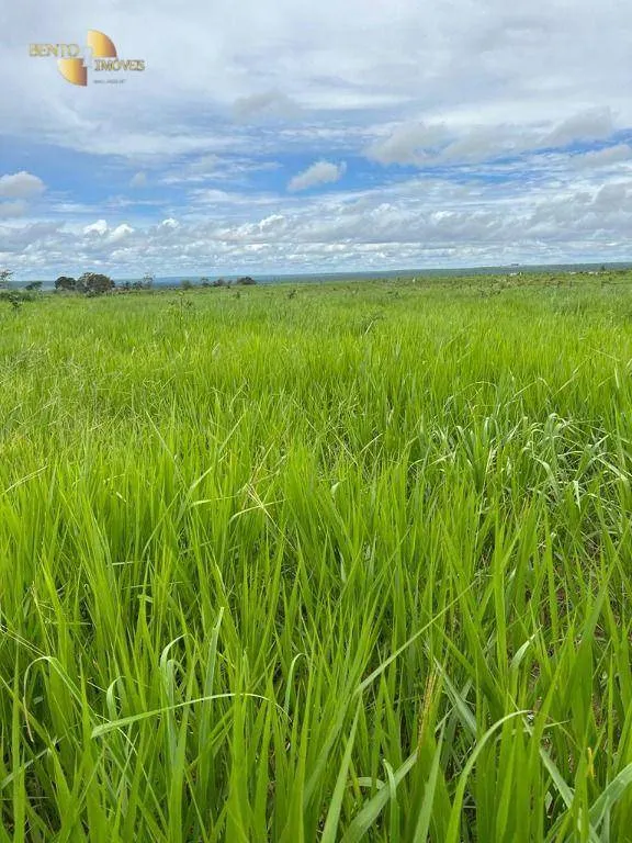 Fazenda à venda de 3.150 ha em Paranatinga, MT, Brasil