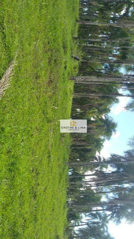 Fazenda à venda de 513 ha em Parnaíba, PI, Brasil