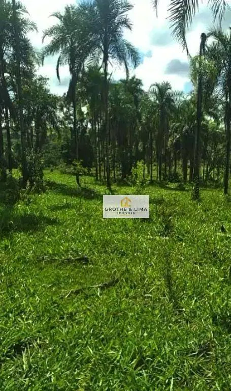 Fazenda à venda de 513 ha em Parnaíba, PI, Brasil