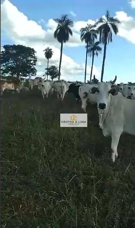 Fazenda à venda de 513 ha em Parnaíba, PI, Brasil