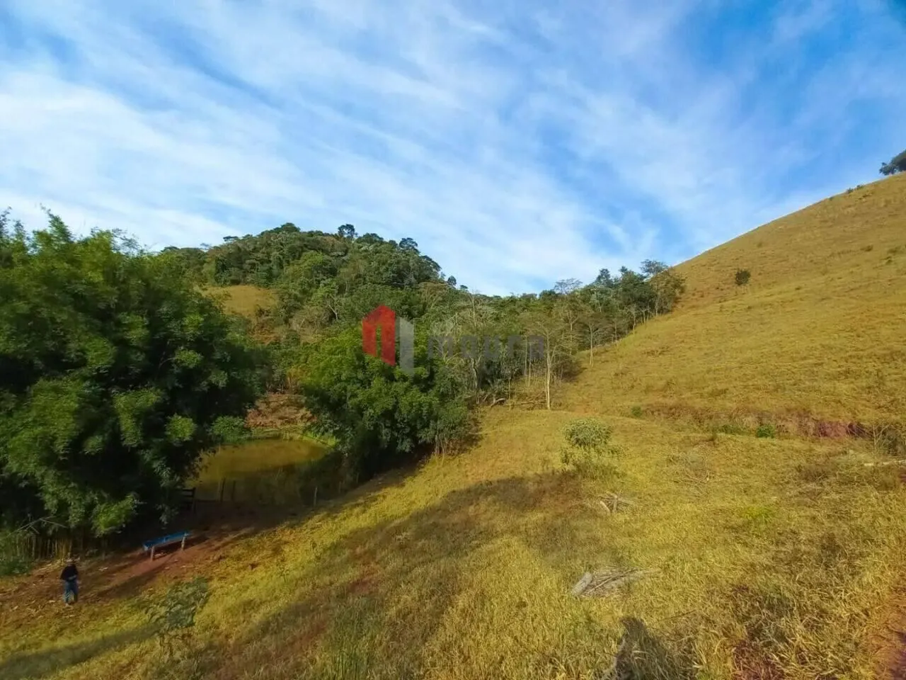 Fazenda à venda de 61 ha em Santos Dumont, MG, Brasil