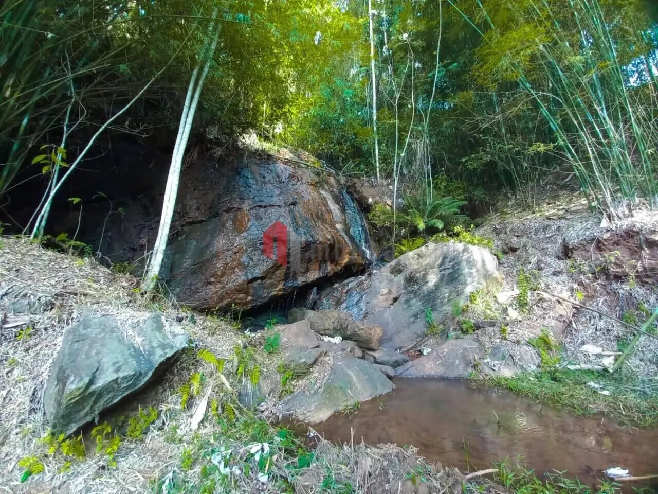 Fazenda à venda de 61 ha em Santos Dumont, MG, Brasil