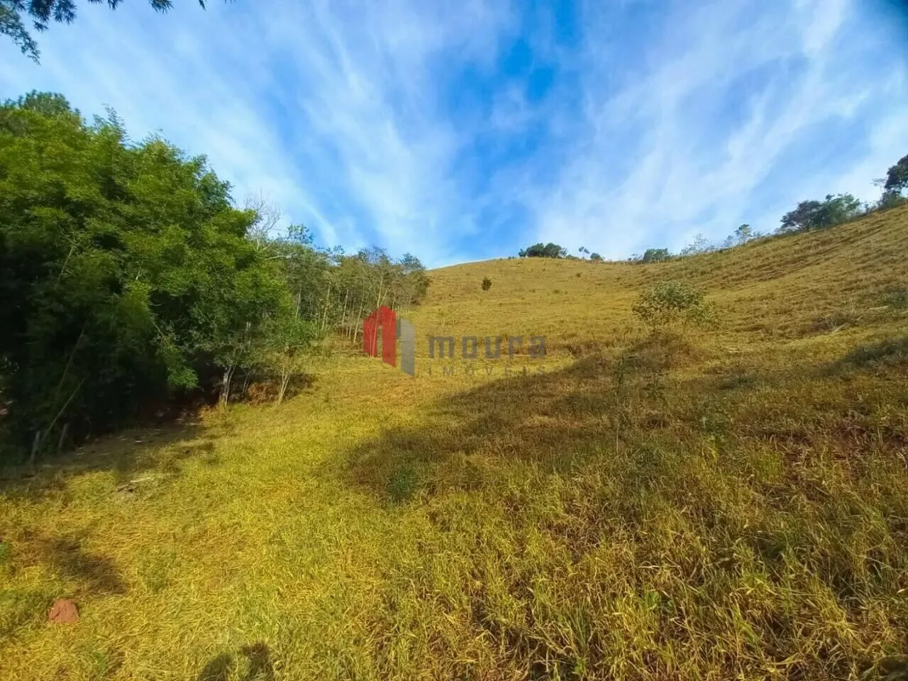 Fazenda à venda de 61 ha em Santos Dumont, MG, Brasil