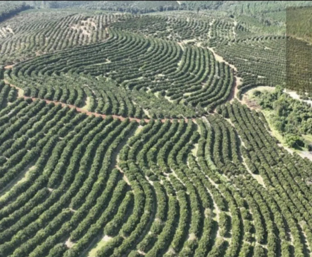 Farm for sale of 1,017 acres in Angatuba, SP, Brazil