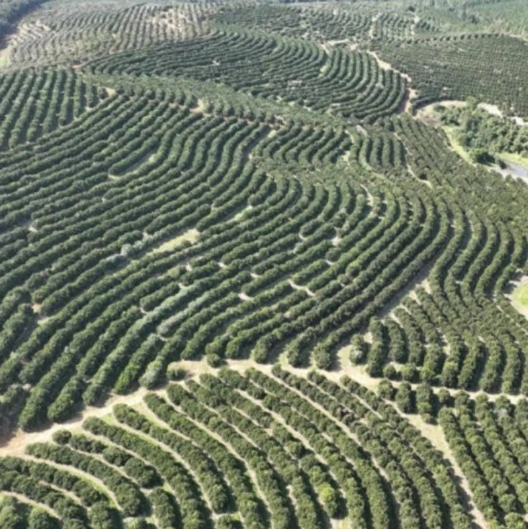 Farm for sale of 1,017 acres in Angatuba, SP, Brazil