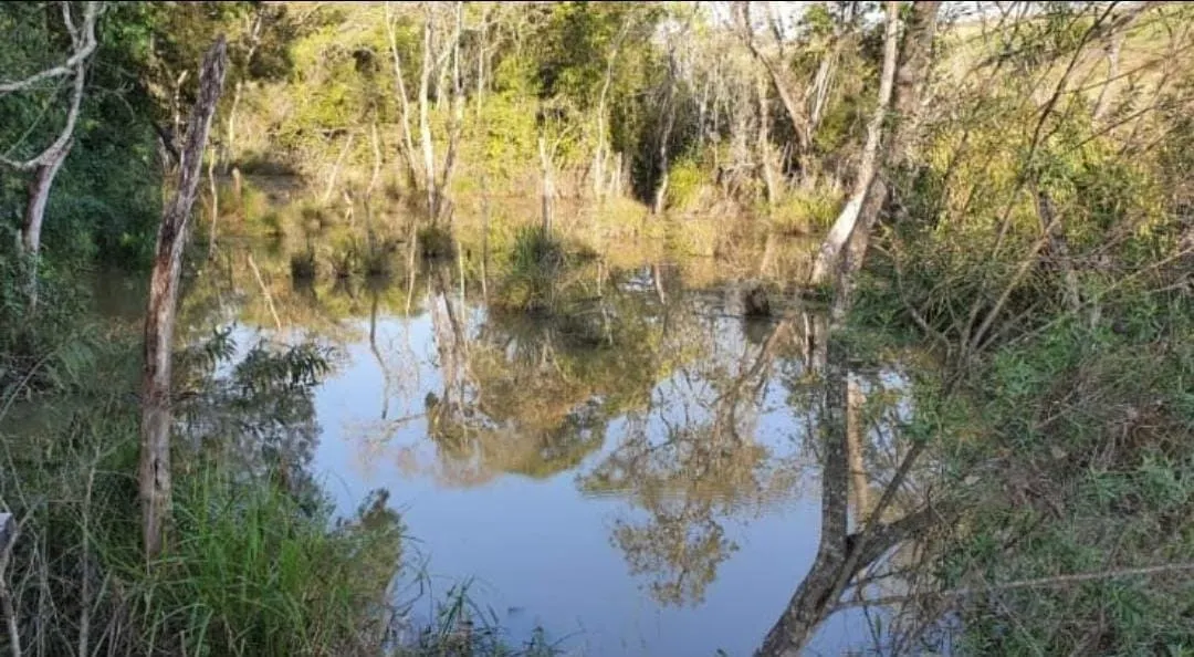 Farm for sale of 1,017 acres in Angatuba, SP, Brazil