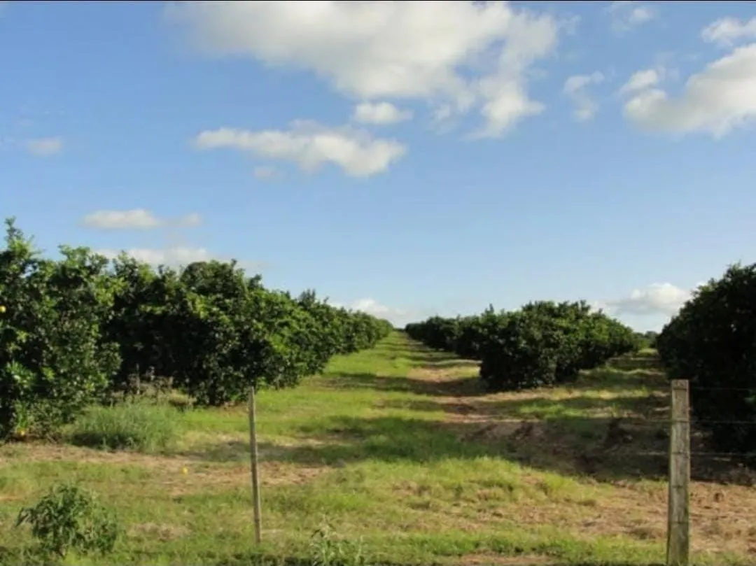 Farm for sale of 1,017 acres in Angatuba, SP, Brazil