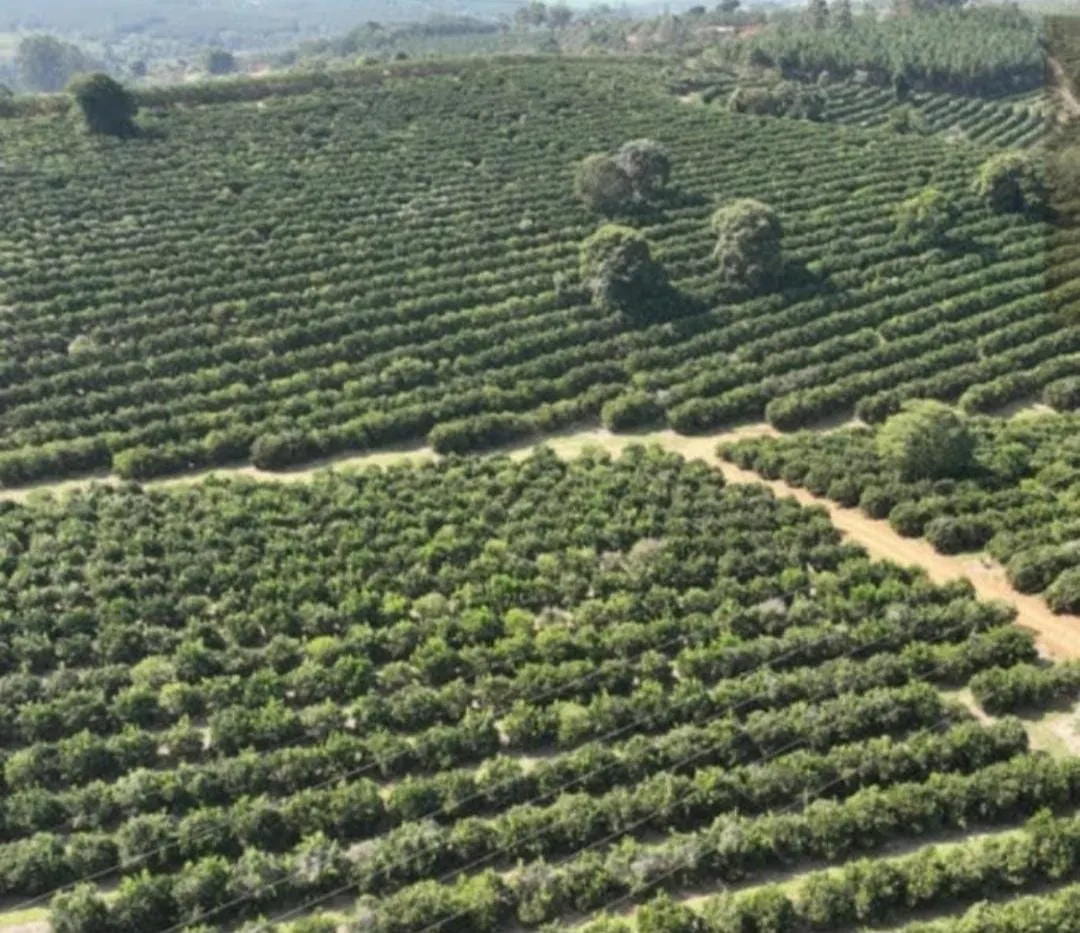 Farm for sale of 1,017 acres in Angatuba, SP, Brazil