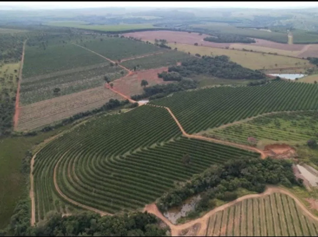Fazenda à venda de 411 ha em Angatuba, SP, Brasil