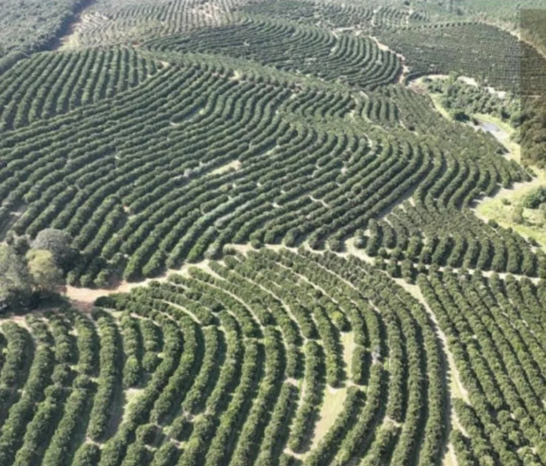 Farm for sale of 1,017 acres in Angatuba, SP, Brazil