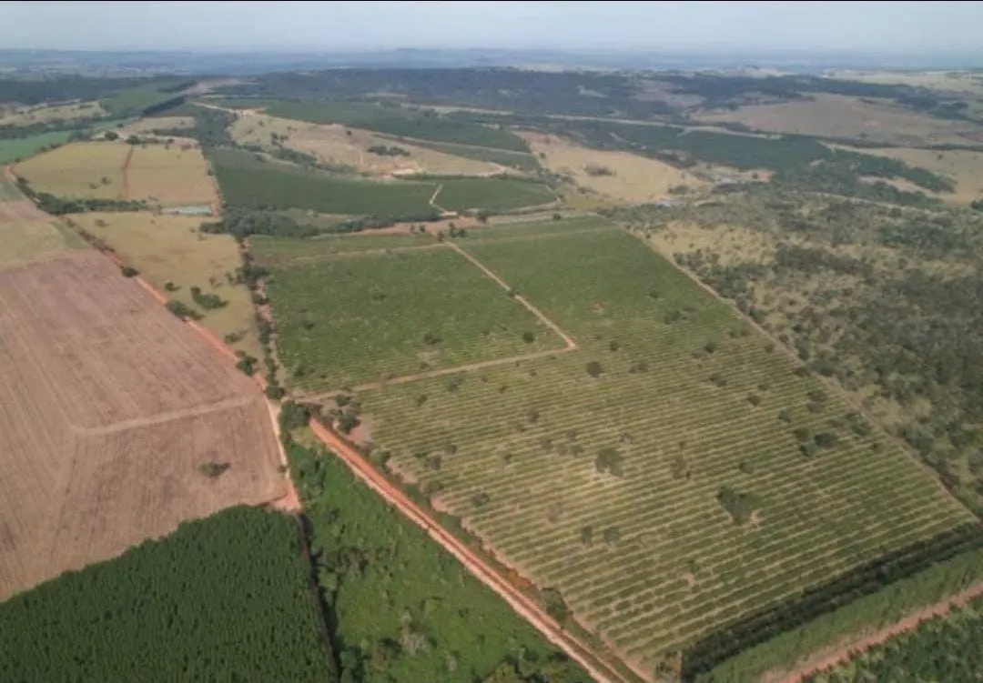 Farm for sale of 1,017 acres in Angatuba, SP, Brazil
