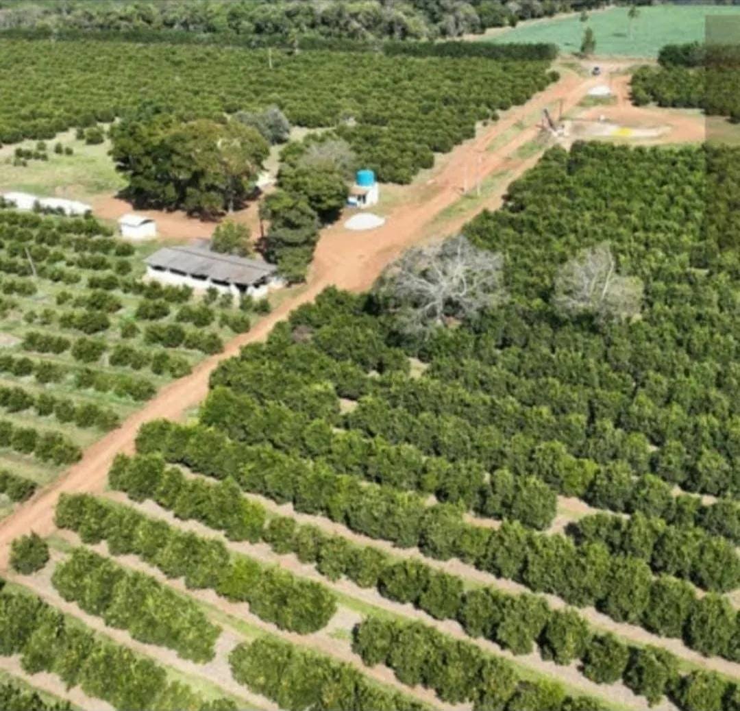 Farm for sale of 1,017 acres in Angatuba, SP, Brazil