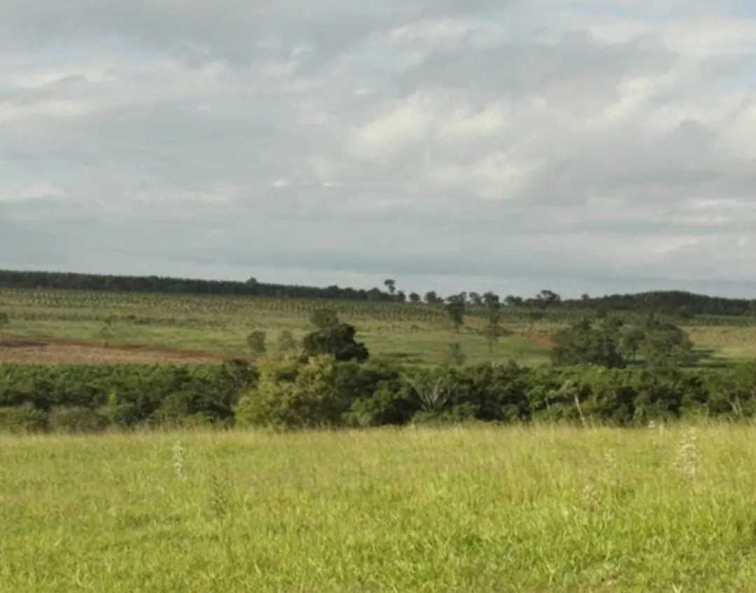 Farm for sale of 1,017 acres in Angatuba, SP, Brazil