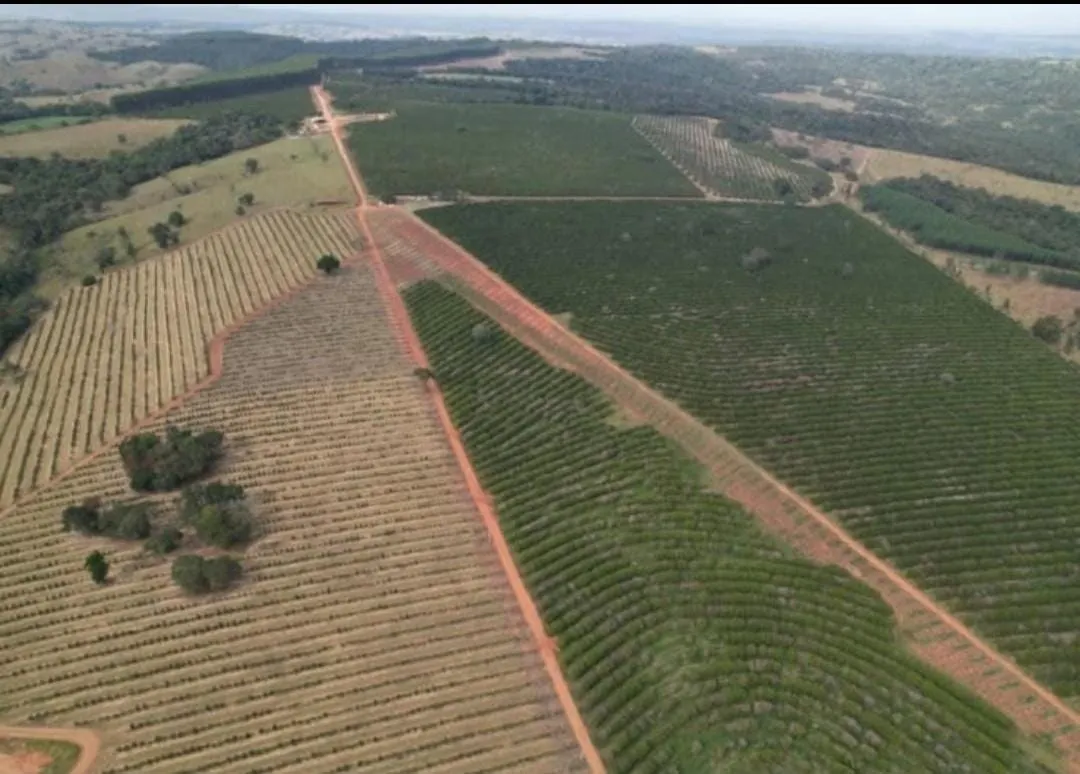 Farm for sale of 1,017 acres in Angatuba, SP, Brazil