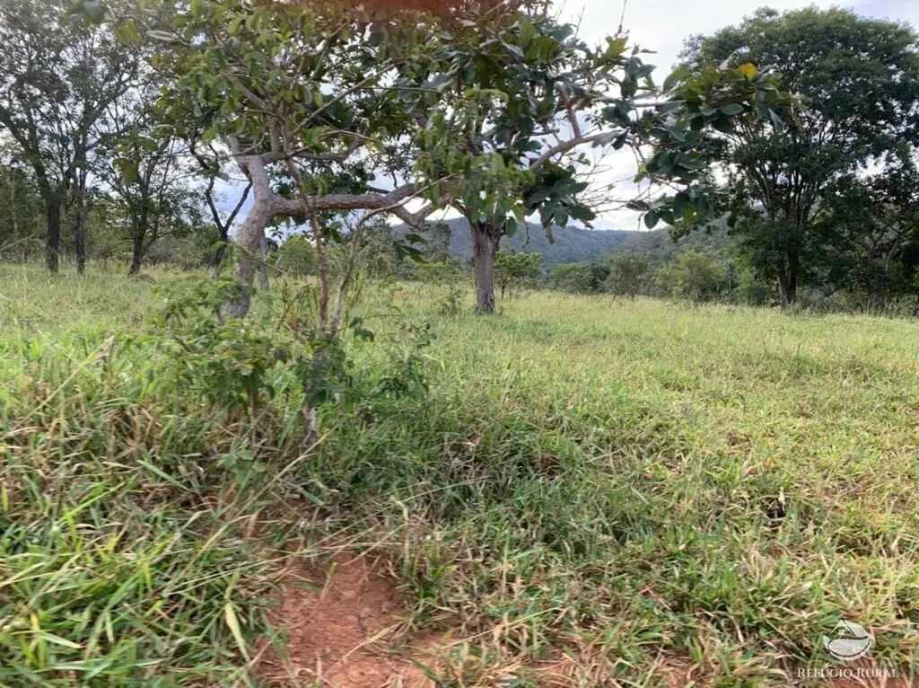 Fazenda à venda de 212 ha em Brasília, DF, Brasil