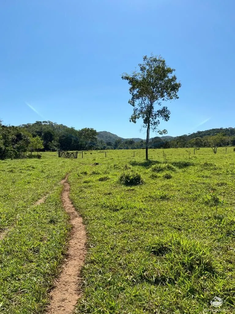 Fazenda à venda de 212 ha em Brasília, DF, Brasil