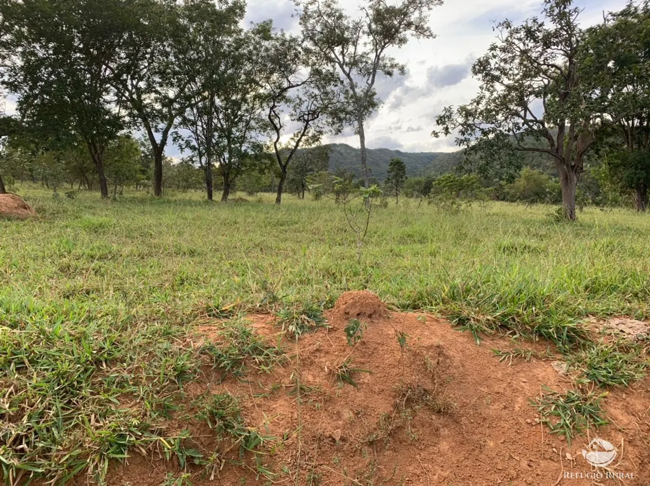 Fazenda à venda de 212 ha em Brasília, DF, Brasil